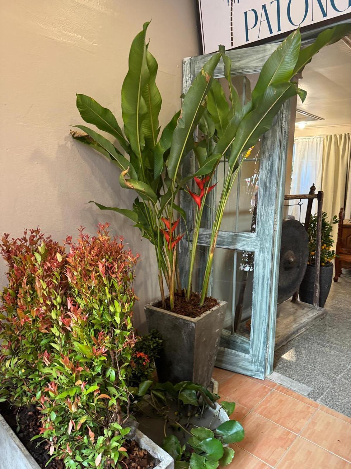 The Taksim Patong Beach Hotel Extérieur photo
